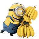 minion